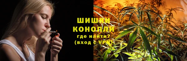 соль ск Богородск
